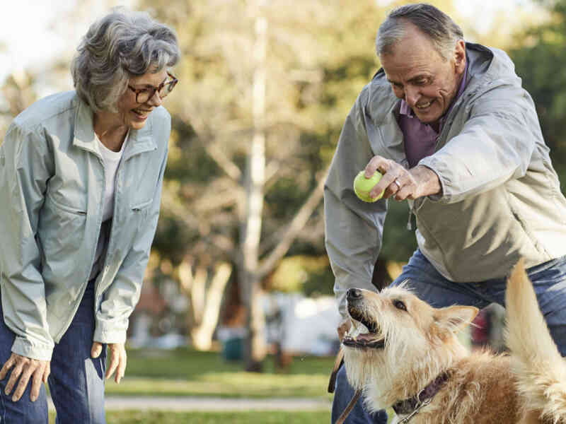 Medicare Advantage Plan