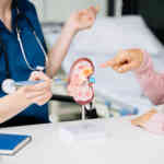 미국 신장 이식과 메디케어 혜택