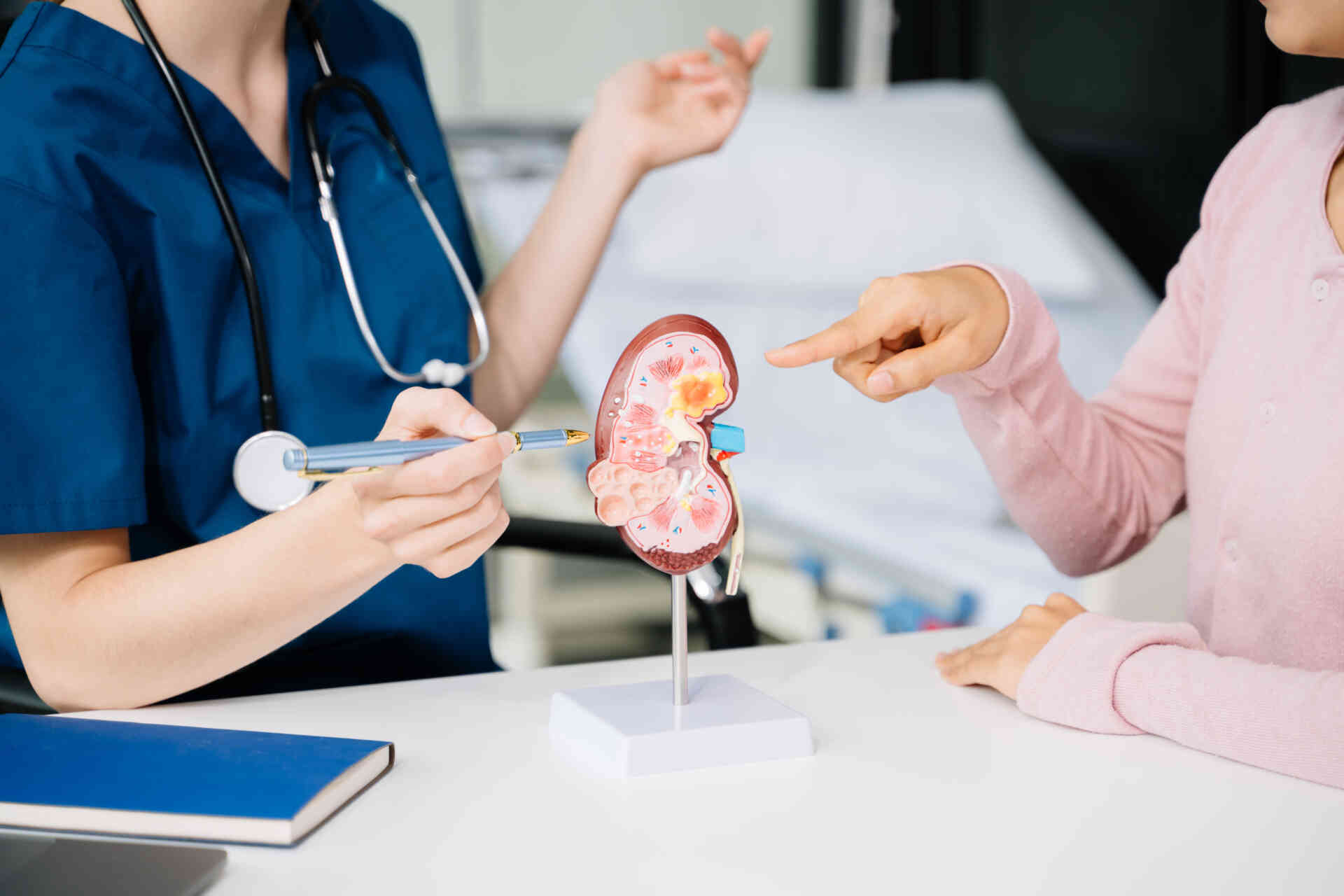 미국 신장 이식과 메디케어 혜택 알아보기